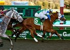Hudson Landing won the 2012 All American Stakes by a nose over Control Seeker.