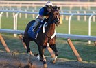 Rachel Alexandra is scheduled to run next in the Lady's Secret Stakes July 24.<br><a target="blank" href="http://www.bloodhorse.com/horse-racing/photo-store?ref=http%3A%2F%2Fpictopia.com%2Fperl%2Fgal%3Fprovider_id%3D368%26ptp_photo_id%3D9101920%26ref%3Dstory">Order This Photo</a>