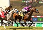 Obviously won the Del Mar Mile in 2012 and 2013 (shown).