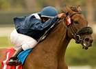 Wasted Tears won the John C. Mabee Stakes in 2010.<br><a target="blank" href="http://www.bloodhorse.com/horse-racing/photo-store?ref=http%3A%2F%2Fpictopia.com%2Fperl%2Fgal%3Fprovider_id%3D368%26ptp_photo_id%3D9145830%26ref%3Dstory">Order This Photo</a>
