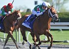 Winning Cause has won all 3 of his Keeneland starts.<br><a target="blank" href="http://photos.bloodhorse.com/AtTheRaces-1/at-the-races-2013/27257665_QgCqdh#!i=2467745510&k=Pgx7J3w">Order This Photo</a>
