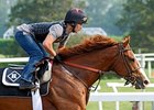 Haskell Draws Eight; Shackleford Favored Haskell Draws Eight; Shackleford Favored