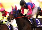 Meisho Mambo wins the QE II Cup.
<br><a target="blank" href="http://photos.bloodhorse.com/AtTheRaces-1/at-the-races-2013/27257665_QgCqdh#!i=2896700119&k=WVg2jdn">Order This Photo</a>