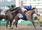 Havana holds off Honor Code to win the Champagne Stakes.<br><a target="blank" href="http://photos.bloodhorse.com/AtTheRaces-1/at-the-races-2013/27257665_QgCqdh#!i=2812505744&k=7PHgwgF">Order This Photo</a>