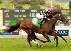 Champ Pegasus (outside) is a nose better than Bourbon Bay in the San Luis Obispo Stakes.<br><a target="blank" href="http://www.bloodhorse.com/horse-racing/photo-store?ref=http%3A%2F%2Fpictopia.com%2Fperl%2Fgal%3Fprovider_id%3D368%26ptp_photo_id%3D9412641%26ref%3Dstory">Order This Photo</a>