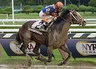 Notacatbutallama
<br><a target="blank" href="http://photos.bloodhorse.com/AtTheRaces-1/at-the-races-2013/27257665_QgCqdh#!i=2690239974&k=nHQcp8c">Order This Photo</a>