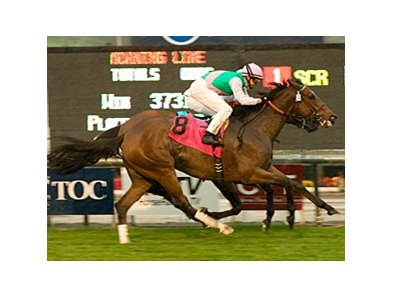 Proviso started 2010 off with a victory in the grade I Frank Kilroe Mile at Santa Anita.