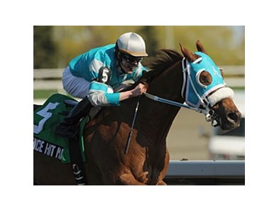 Essence Hit Man won the 2012 Vigil Stakes.