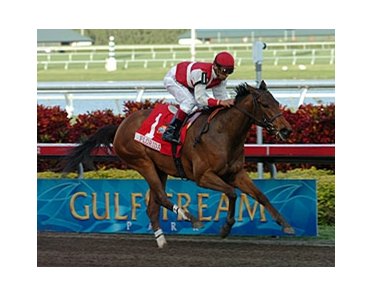 American County cruises to victory in the Sunshine Millions Oaks.<br><a target="blank" href="http://www.bloodhorse.com/horse-racing/photo-store?ref=http%3A%2F%2Fpictopia.com%2Fperl%2Fgal%3Fprovider_id%3D368%26ptp_photo_id%3D3398777%26ref%3Dstory">Order This Photo</a>