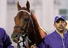 Drosselmeyer Could Race Again Drosselmeyer Could Race Again