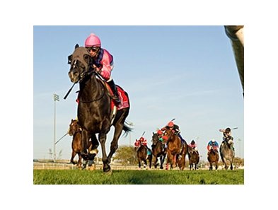 Willcox Inn dominates the Hawthorne Derby.