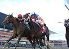 Overanalyze (right) a determined winner in the Remsen.