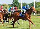 Ausus pulls away from the pack to win the Modesty Handicap.