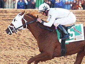 Albarado Will Ride Endorsement in Derby Albarado Will Ride Endorsement in Derby