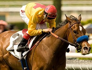 Modesty, Arlington 'Caps Draw Grade I Talent Modesty, Arlington 'Caps Draw Grade I Talent