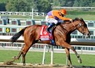 Beholder takes on 7 in the Las Virgenes Stakes.<br><a target="blank" href="http://photos.bloodhorse.com/BreedersCup/2012-Breeders-Cup/Juvenile-Fillies/26130210_XSj9gp#!i=2191793794&k=84JtKwD">Order This Photo</a>