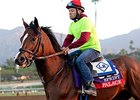 Spendthrift Buys Breeding Rights to Palace Spendthrift Buys Breeding Rights to Palace