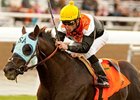 Dilemma and Garrett Gomez take the Daytona Stakes at Santa Anita.<br><a target="blank" href="http://www.bloodhorse.com/horse-racing/photo-store?ref=http%3A%2F%2Fpictopia.com%2Fperl%2Fgal%3Fprovider_id%3D368%26ptp_photo_id%3D9352709%26ref%3Dstory">Order This Photo</a>