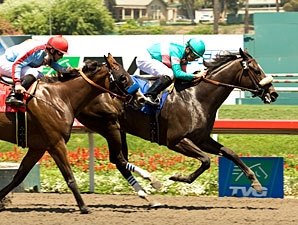 Tough Tiz's Sis Tries Zenyatta in Hirsch Tough Tiz's Sis Tries Zenyatta in Hirsch