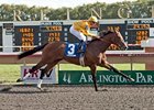 Pataky Kid winning the 2012 Arlington-Washington Futurity.