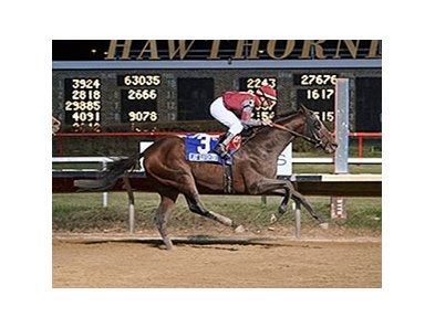 Last Gunfighter