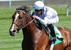 Al Khali<br><a target="blank" href="http://photos.bloodhorse.com/AtTheRaces-1/at-the-races-2012/22274956_jFd5jM#!i=1786899533&k=Hbfq8tF">Order This Photo</a>