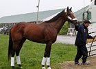 Astrology: High Hopes for Preakness Astrology: High Hopes for Preakness