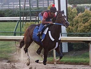 Rachel's Next Race: Lady's Secret at Monmouth Rachel's Next Race: Lady's Secret at Monmouth