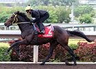 Irish Champion Eagle Mountain Retired Irish Champion Eagle Mountain Retired