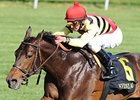 Silver Max and Robby Albarado dominate the Transylvania Stakes.<br><a target="blank" href="http://photos.bloodhorse.com/AtTheRaces-1/at-the-races-2012/22274956_jFd5jM#!i=1782652609&k=LBtJPXS">Order This Photo</a>