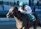 Palace takes on 5 in the Gravesend Handicap.<br><a target="blank" href="http://photos.bloodhorse.com/AtTheRaces-1/at-the-races-2013/27257665_QgCqdh#!i=2936959792&k=psKMLKz">Order This Photo</a>