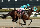 J Be K won the Bay Shore (gr. III) at Aqueduct. <br><a target="blank" href="http://www.bloodhorse.com/horse-racing/photo-store?ref=http%3A%2F%2Fpictopia.com%2Fperl%2Fgal%3Fprovider_id%3D368%26ptp_photo_id%3D4084530%26ref%3Dstory">Order This Photo</a>