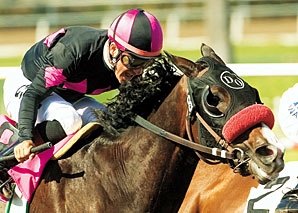 Lava Man to Lead Cal Cup Classic Parade Lava Man to Lead Cal Cup Classic Parade