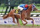 Summer Bird, shown winning the Travers, is expected to return to racing next year.<br><a target="blank" href="http://www.bloodhorse.com/horse-racing/photo-store?ref=http%3A%2F%2Fpictopia.com%2Fperl%2Fgal%3Fprovider_id%3D368%26ptp_photo_id%3D8443502%26ref%3Dstory">Order This Photo</a>