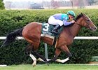 Casablanca Smile wins the Rood and Riddle Dowager Stakes.