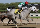 Afleet Again pours it on late in the Withers. <br><a target="blank" href="http://www.bloodhorse.com/horse-racing/photo-store?ref=http%3A%2F%2Fpictopia.com%2Fperl%2Fgal%3Fprovider_id%3D368%26ptp_photo_id%3D8923658%26ref%3Dstory">Order This Photo</a>