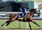 Class Included<br><a target="blank" href="http://photos.bloodhorse.com/BreedersCup/2012-Breeders-Cup/Works/26130247_gxH6nS#!i=2182615815&k=vmLJ7xz">Order This Photo</a>