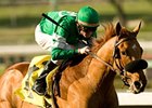 Caracortado Puts New Indiana Stallion on Map Caracortado Puts New Indiana Stallion on Map