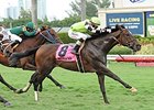 Lochte Seeks Winning Form in Oceanport Lochte Seeks Winning Form in Oceanport