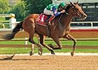 Perfect Drift is in training with Richard Mandella in California.