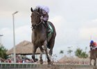 Ron the Greek is all alone at the finish of the Florida Sunshine Millions Classic.<br><a target="blank" href="http://photos.bloodhorse.com/AtTheRaces-1/at-the-races-2013/27257665_QgCqdh#!i=2327005684&k=6PZq3tj">Order This Photo</a>