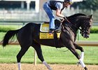 Take Charge Indy Works in :35 2/5 for Clark Take Charge Indy Works in :35 2/5 for Clark