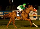 Unzip Me and Rafael Bejarano take Senator Ken Maddy Handicap on opening night at Oak Tree at Hollywood Park.
<br><a target="blank" href="http://www.bloodhorse.com/horse-racing/photo-store?ref=http%3A%2F%2Fpictopia.com%2Fperl%2Fgal%3Fprovider_id%3D368%26ptp_photo_id%3D9215308%26ref%3Dstory">Order This Photo</a>