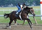 Uncle Mo Works Bullet Five Furlongs Uncle Mo Works Bullet Five Furlongs