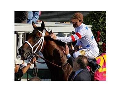 Big Brown in the Derby Winner's Circle.<br><a target="blank" href="http://www.bloodhorse.com/horse-racing/photo-store?ref=http%3A%2F%2Fpictopia.com%2Fperl%2Fgal%3Fprovider_id%3D368%26ptp_photo_id%3D4421235%26ref%3Dstory">Order This Photo</a>