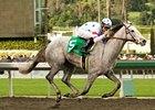 Stardom Bound makes her 4-year old debut in the El Encino at Santa Anita.<br><a target="blank" href="http://www.bloodhorse.com/horse-racing/photo-store?ref=http%3A%2F%2Fpictopia.com%2Fperl%2Fgal%3Fprovider_id%3D368%26ptp_photo_id%3D7685847%26ref%3Dstory">Order This Photo</a>