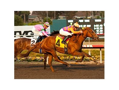 Killer Graces faces Sister Moon in the Railbird Stakes