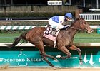 Molly Morgan dominates the Chilukki Stakes at Churchill Downs.