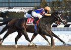 Calibrachoa outfinishes Independence War to win the Toboggan Stakes.<br><a target="blank" href="http://www.bloodhorse.com/horse-racing/photo-store?ref=http%3A%2F%2Fpictopia.com%2Fperl%2Fgal%3Fprovider_id%3D368%26ptp_photo_id%3D9379587%26ref%3Dstory">Order This Photo</a>