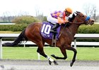 Ciao Bella Luna wins the Beaumont Stakes.